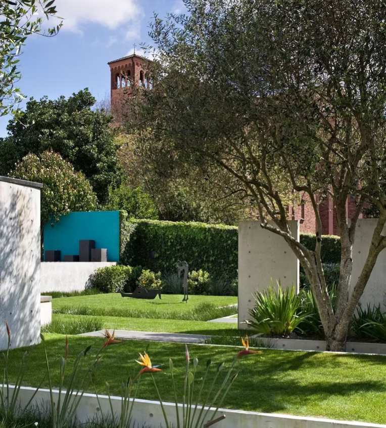 Living Lawn Workshop