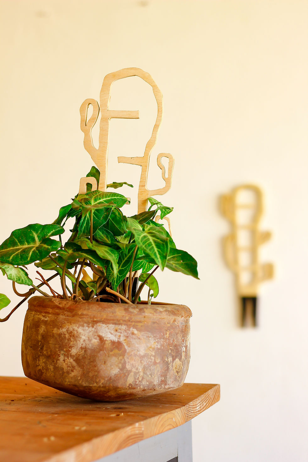 Thumbnail: Cactus Plant Trellis