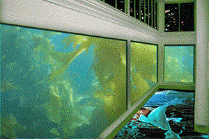 Aquablu FORMATTED.gif