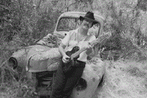 david-denny-crop-1973_1 FORMATTED.gif