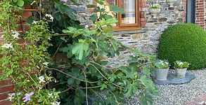 Cwtch Cottage.jpeg