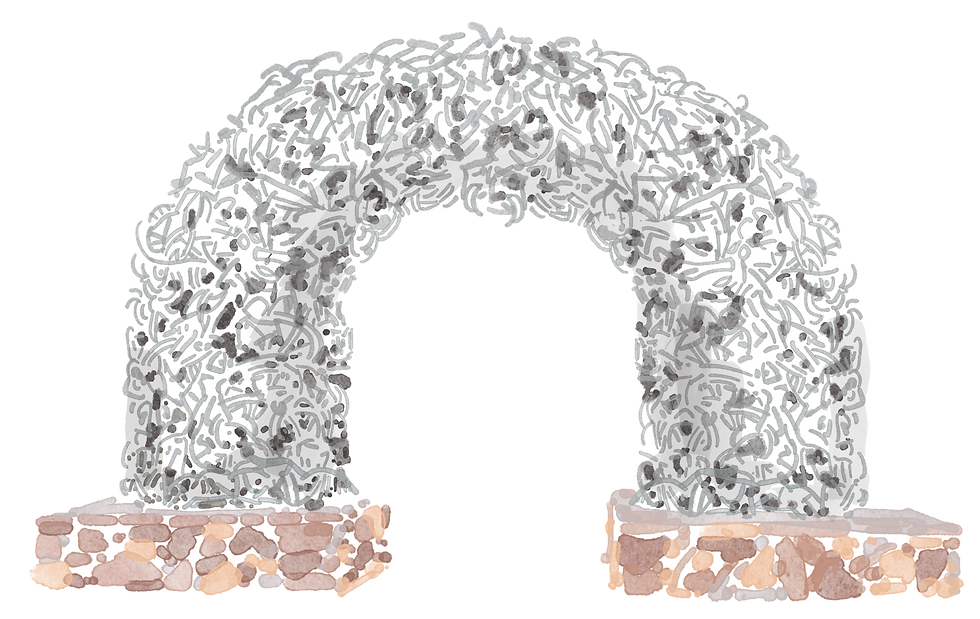 Antlers Arch.png