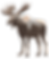 Moose.png