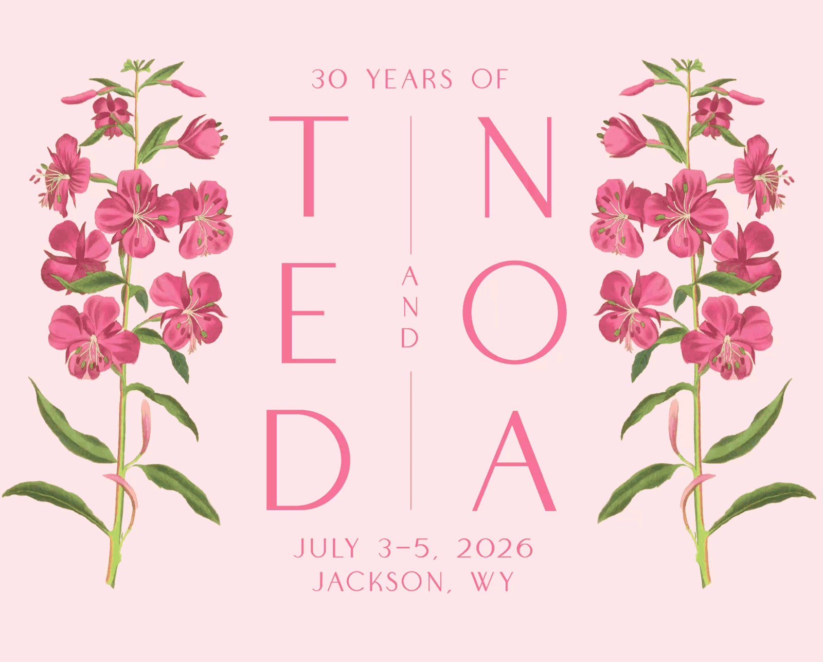 Noa-Staryk_Website-Homepage-2_1 (1).gif