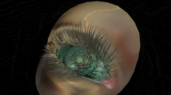 Xi Li 李曦: Digital renderings from ↪︎I↩︎ (Within Web of Mask), 2023