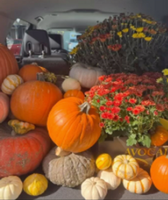 DIY Pumpkin Patio Delviery