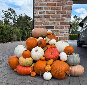 Pumpkins