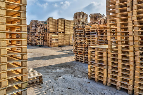 huge-piles-of-different-type-of-pallet-2023-11-27-05-35-53-utc.jpg