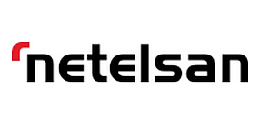netelsan_logo.png