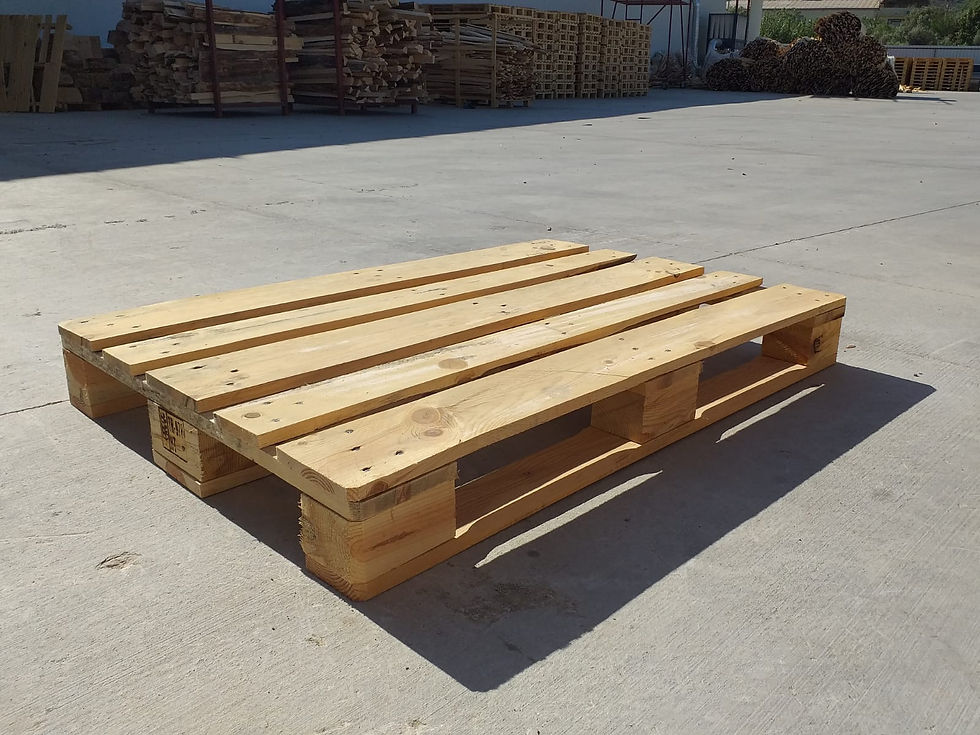 -80×120-Palet