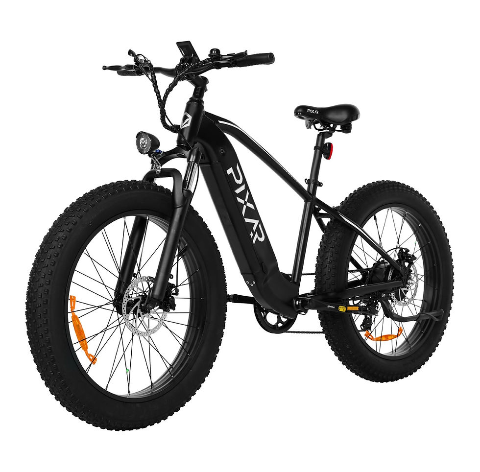 PIXAR Space1 500W Fat tyre Electric Mountain bike 48V/20Ah 20mph