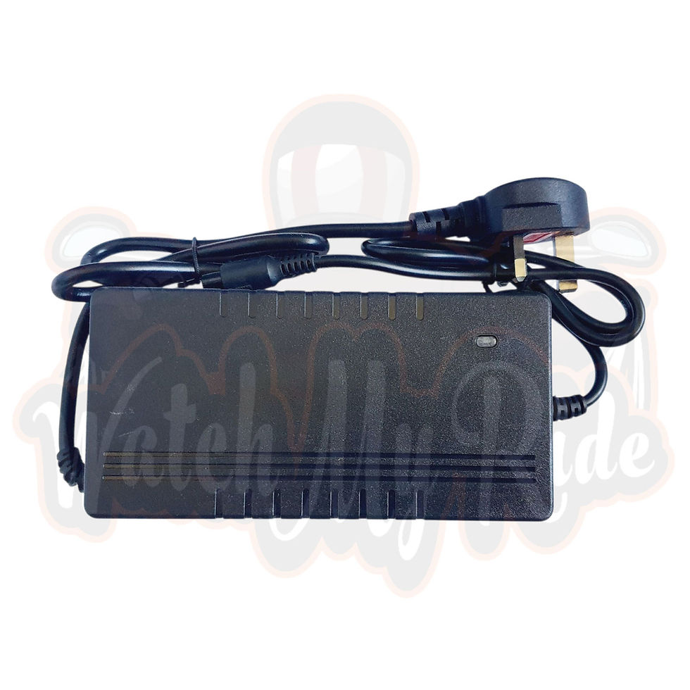 48V/3A fused and fanned charger for G-Booster and more (1+/2-)