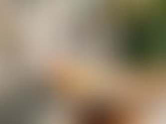 Wollaston Development Helps Families Celebrate the Holidays Safely and Comfortably Outdoors