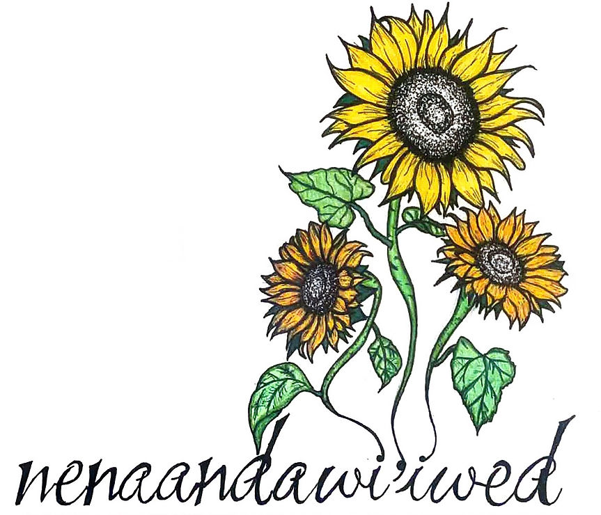 nenaandawi'wed - Traditional Healer