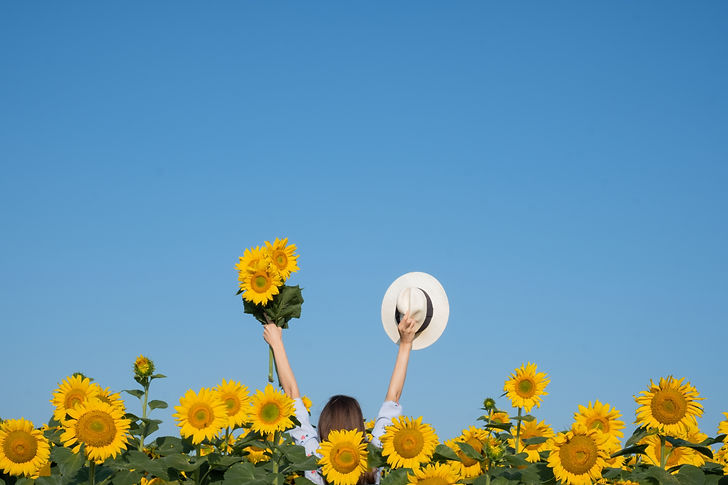 Woman turning her back chand up raised above his head a bouquet of sunflowers on a backgro