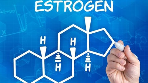 🚺 ESTROGENI: cosa sono? cosa fanno al tuo corpo?