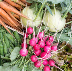 La spesa in primavera: cosa comprare per portare a tavola la salute - consigli del Programma Nutri® dott.ssa Ravelli