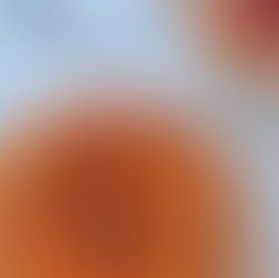 Crostata estiva con frutta fresca e ricotta - Ricetta del Programma Nutri® dott.ssa Ravelli