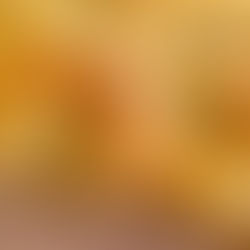 Focaccia tipo genovese: ricetta veloce e con pochissimo olio - Programma Nutri® dott.ssa Ravelli