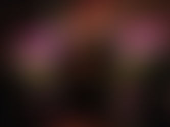 Konser: Sibel Köse Quartet @Samm's