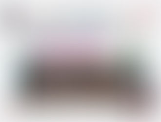 Logan City Speed – 2025 Committee Update