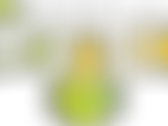 Concurso de Desenho - Projeto Recolha - Outubro/21