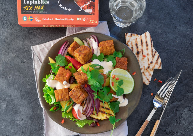 Lupinta Tex Mex w. pack.jpg