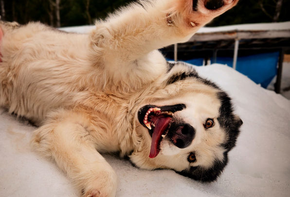 20230325_141554 (1).jpg