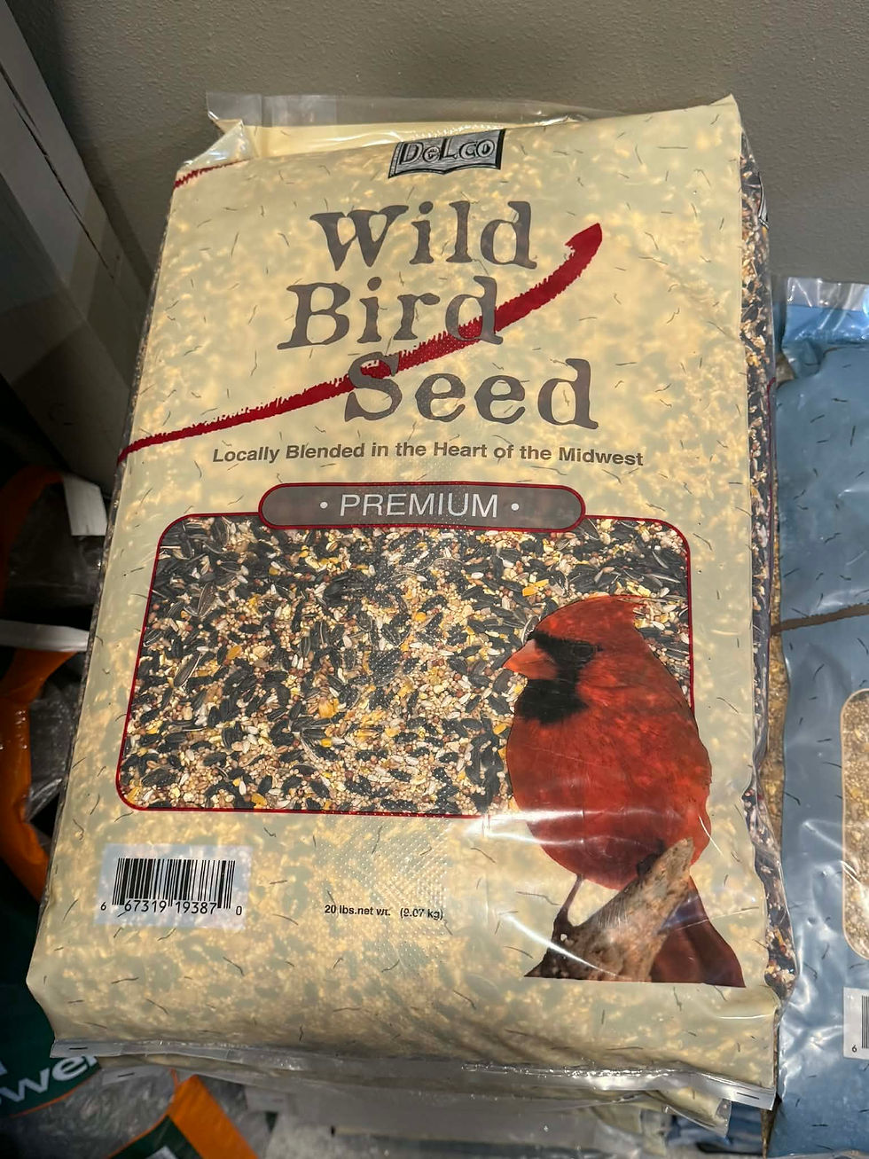 2dbb7d83-868a-4b6d-b271-c4e3110d7059 (1).jpeg