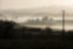 01.Banner visite