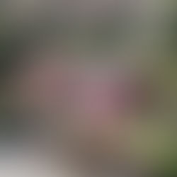 Villa in vendita Via di Mezzocammino e case green