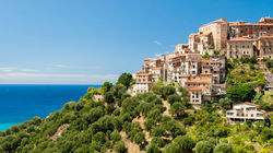 Pisciotta