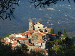Bosco San Giovanni a Piro