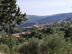 Perdifumo