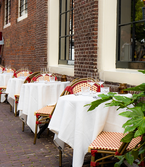 Terras in Haarlem.png