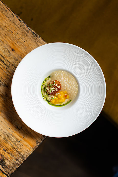 Frenchie, Photographed by Rowin Prins, September, 2025-78.jpg