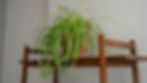 DSC05743.jpg