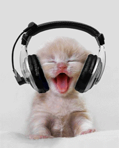 Gato Dançando