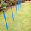 Thumbnail: 6 Pole Basic Weave Set