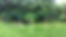 EBB2558F-55DA-4D53-877B-C2D38176889B.jpeg