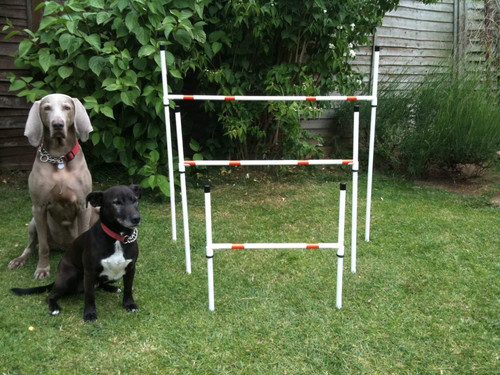 6x Basic Jumps Medium 75cm