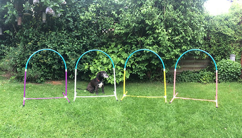 Jessejump Agility Set Of Hoopers