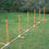 Thumbnail: Deluxe Agility Starter Set