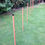 Thumbnail: 6 Pole Basic Weave Set