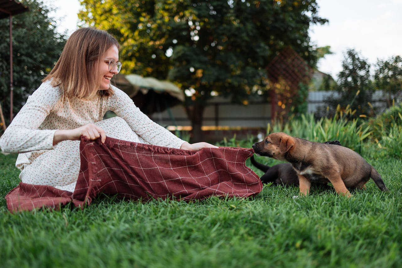 View of Choosing The Perfect Lawn Design For Your Pet: A Step-By-Step Guide ...