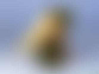 Edibles Education & Usage Guide