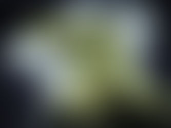 Legacy Brands, Equity & Sustainable Cannabis