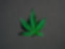 Why THC Transdermal Patches Are the Stealthy Choice for Medicinal Marijuana Users