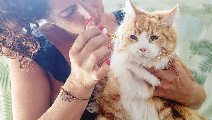 The Do’s And Don’ts Of Giving Cannabis To Your Pets