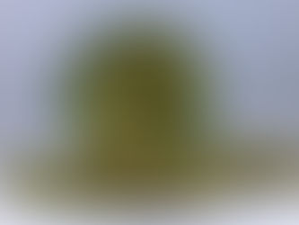 Legacy Brands, Equity & Sustainable Cannabis